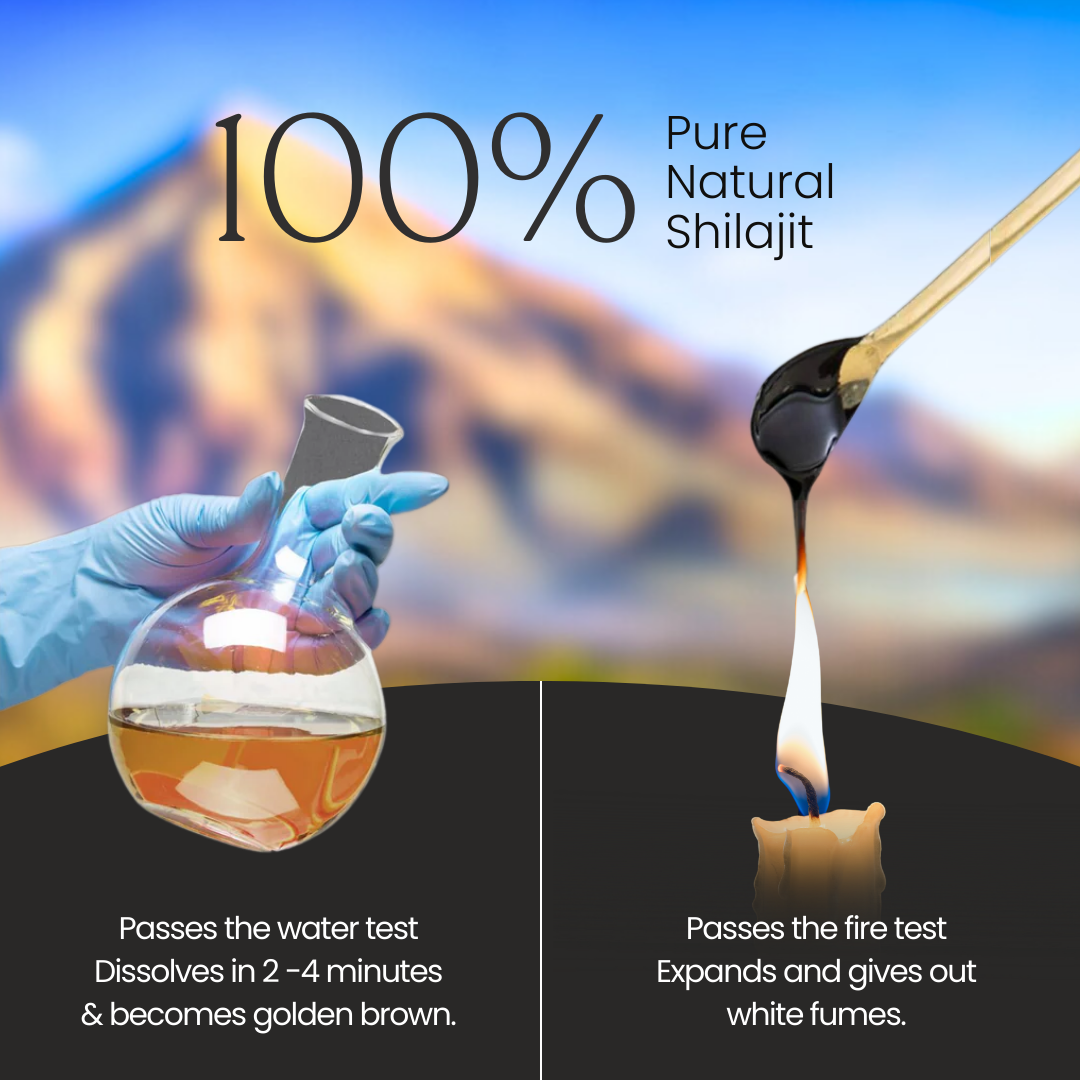 Vedassure Shilajit Gold Resin