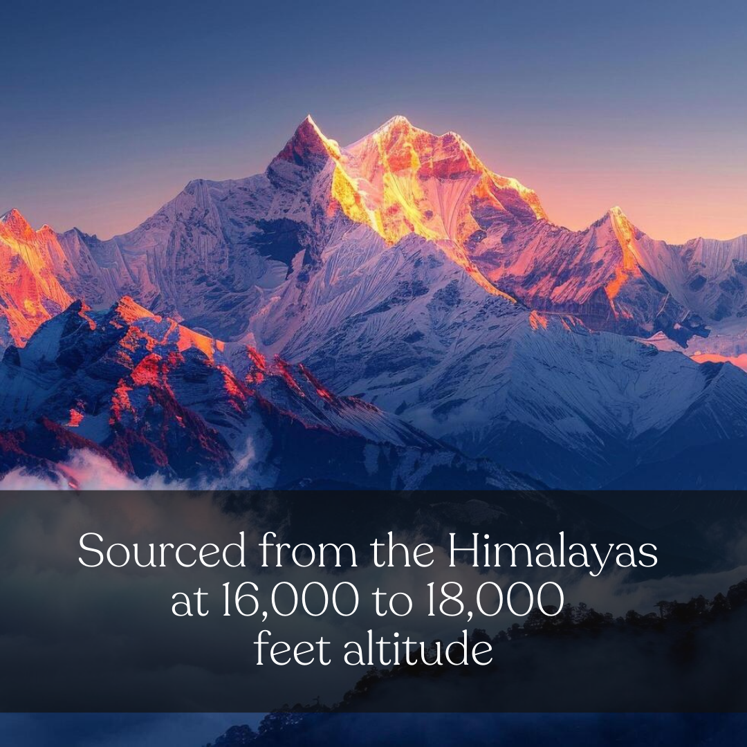 Vedassure Shilajit Gold Resin