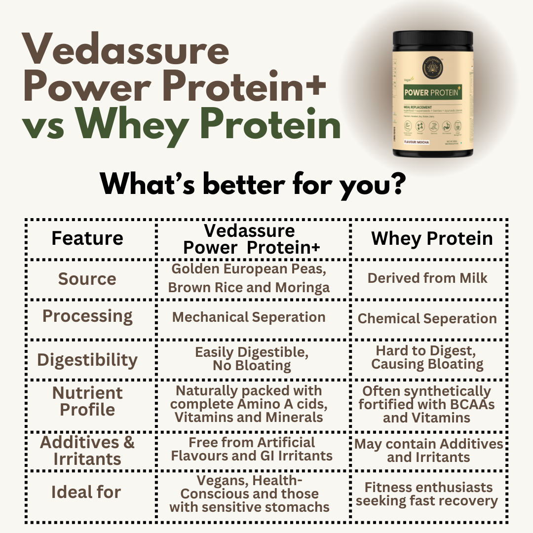POWER PROTEIN+ POWDER
