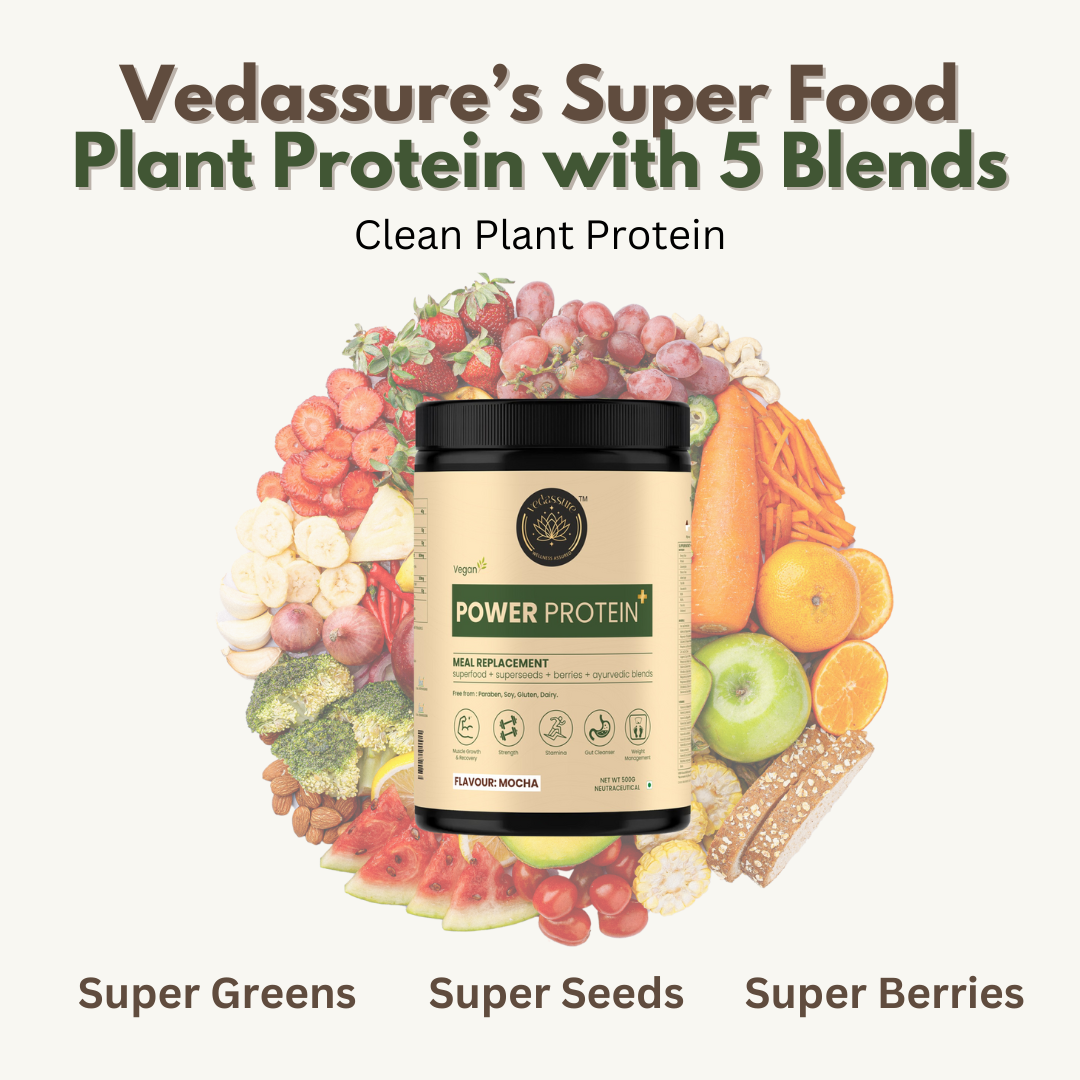 POWER PROTEIN+ POWDER